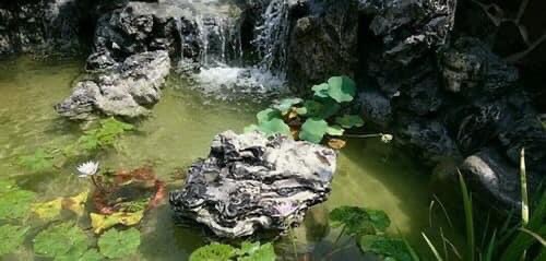 假山水池