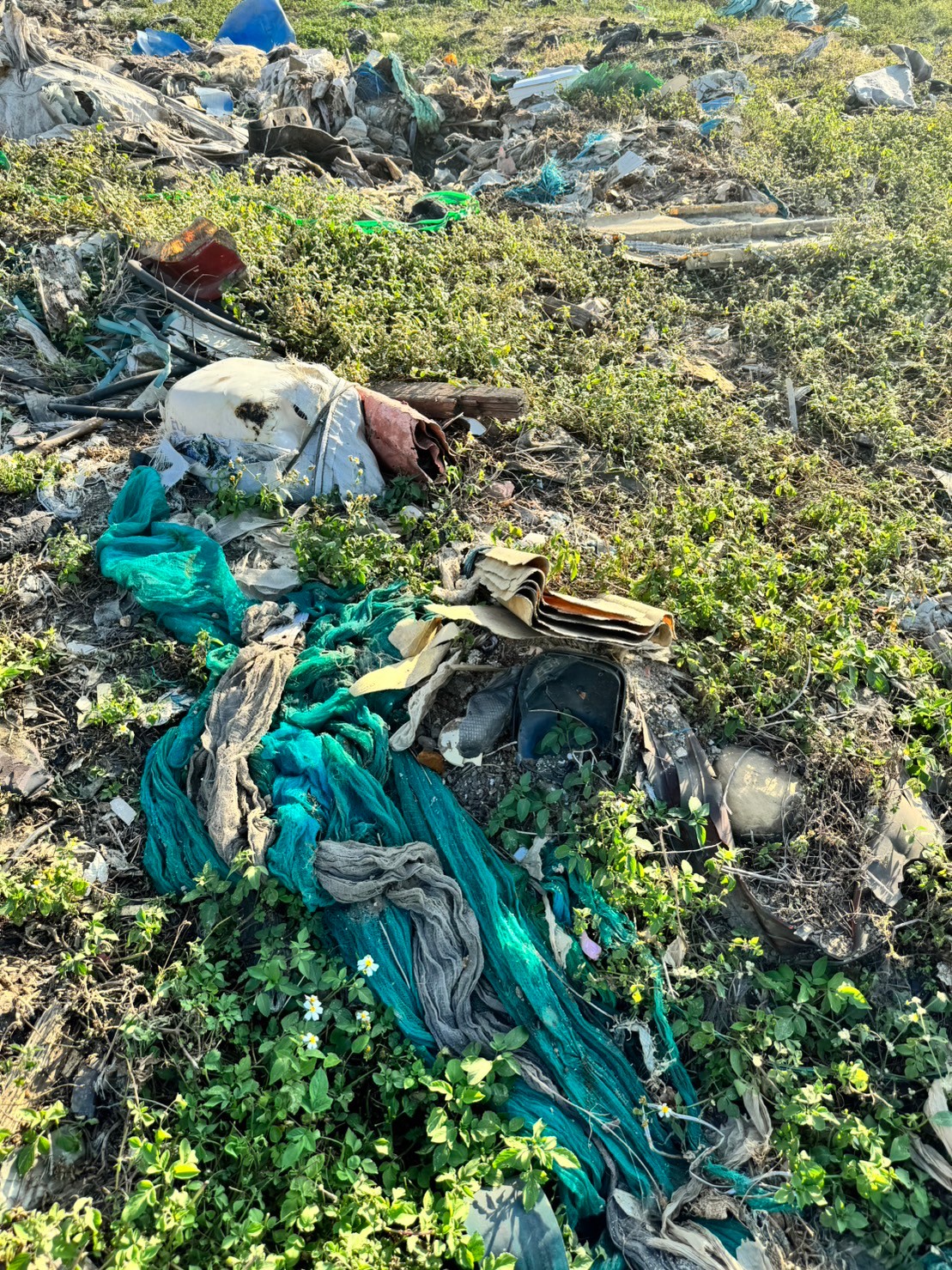 垃圾棄置案處理