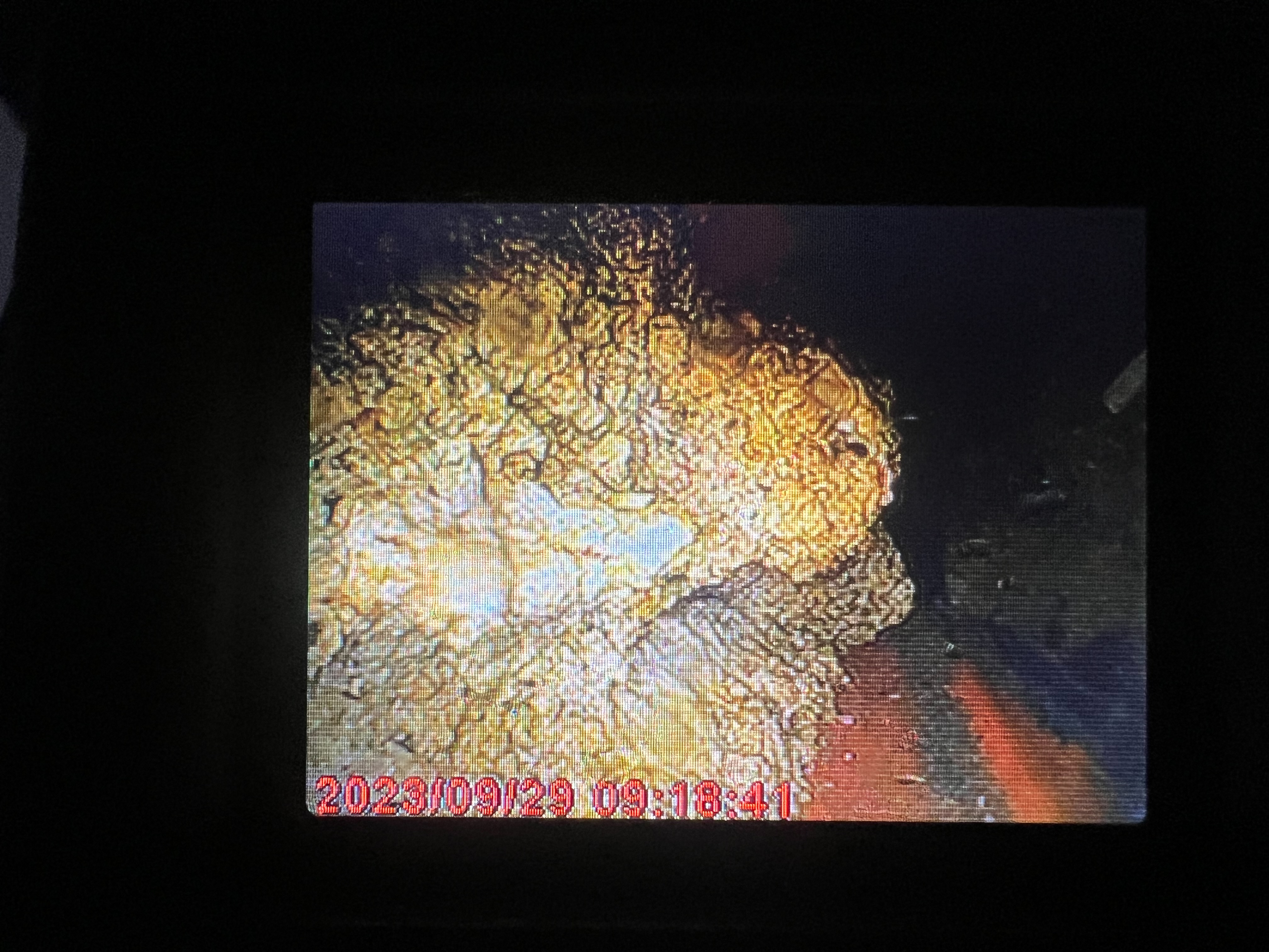 水管管路內視鏡檢測前後照