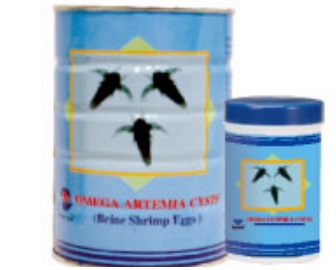 亞美佳豐年蝦卵