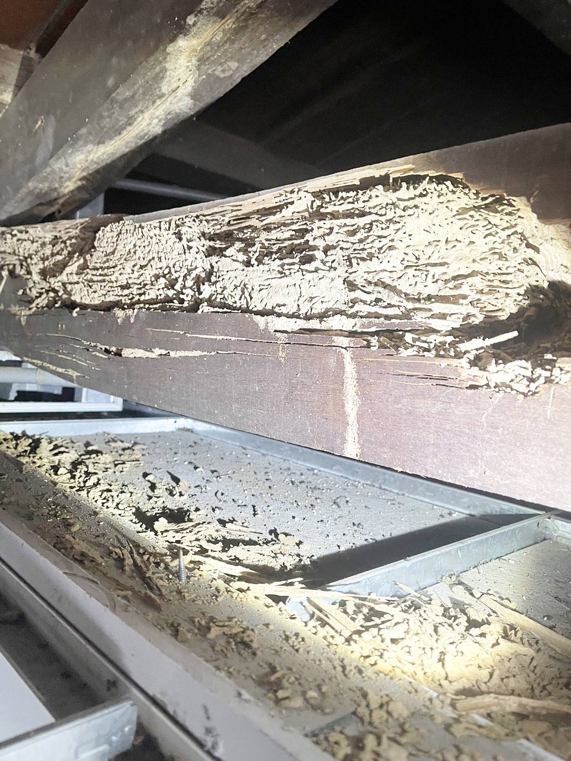 白蟻侵蝕屋頂樑柱