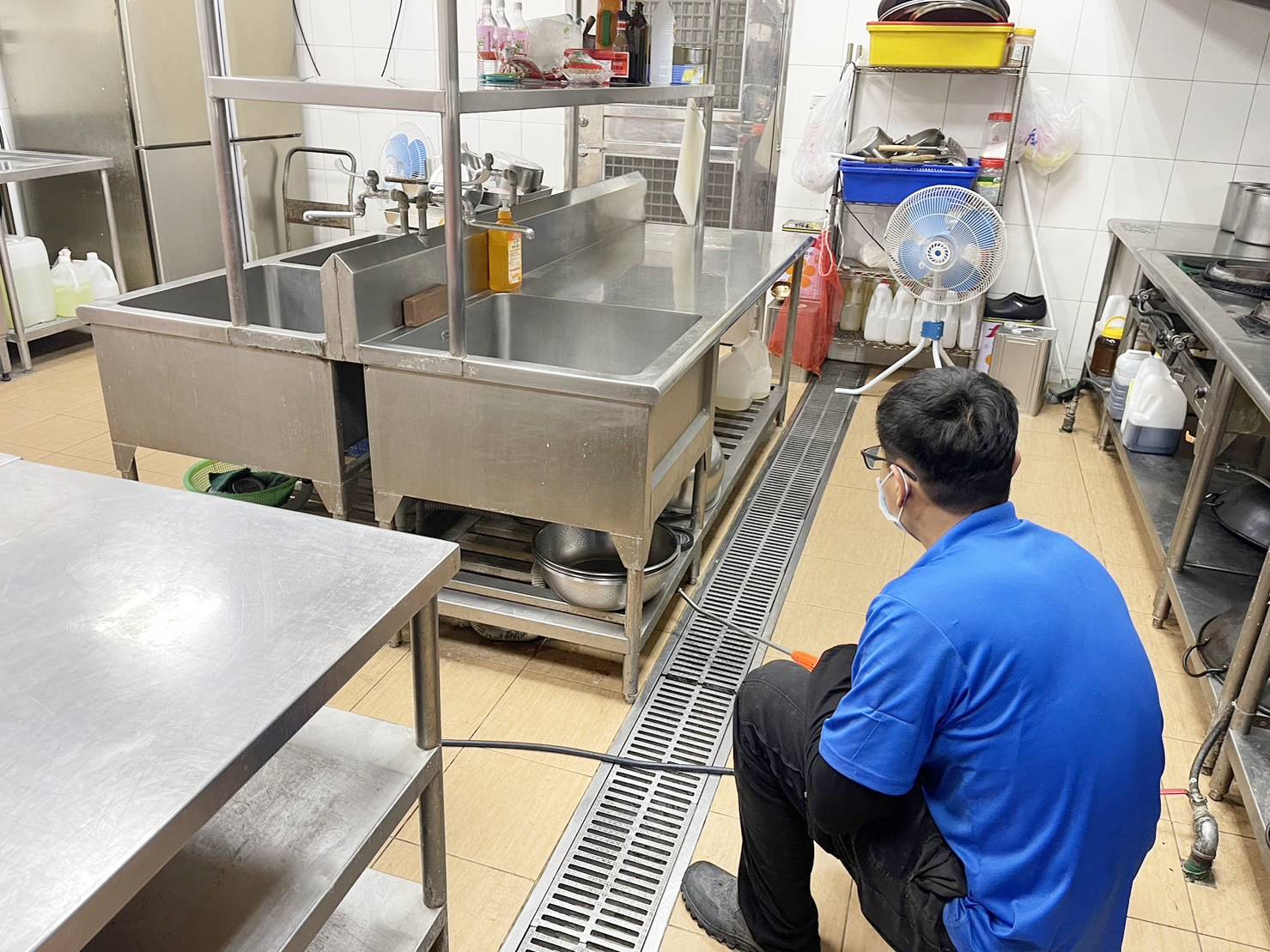 餐廳廚房除蟑螂螞蟻害蟲防治