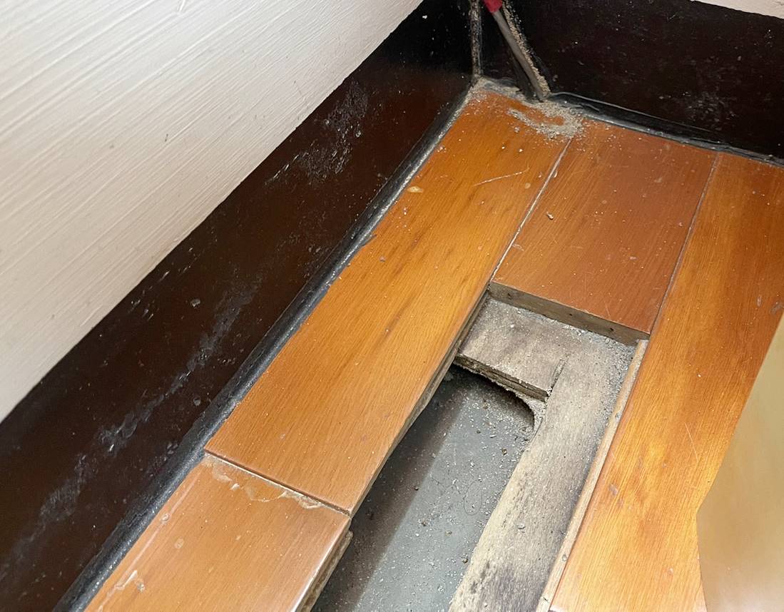 白蟻侵犯木質地板