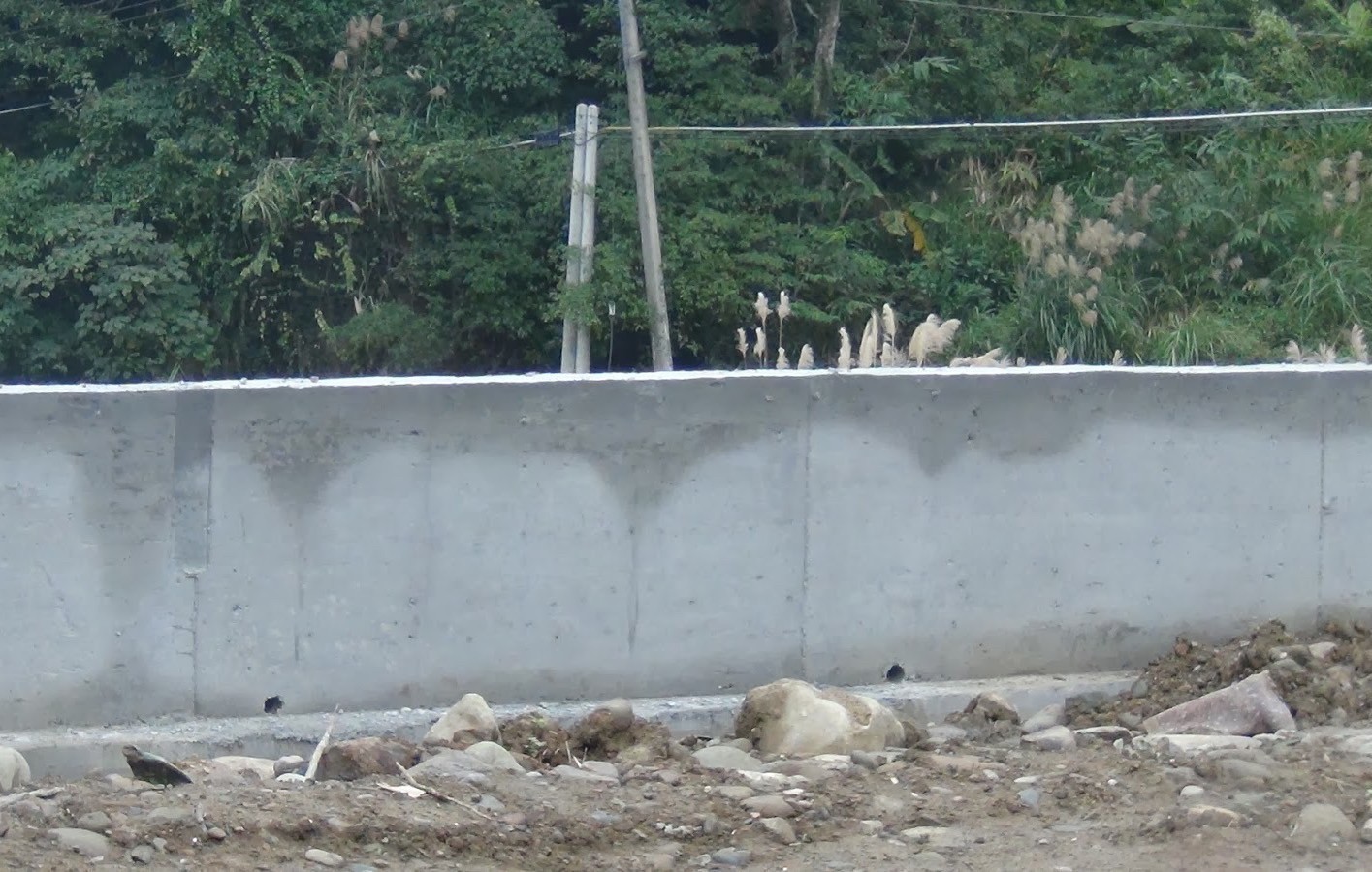 高雄擋土牆工程