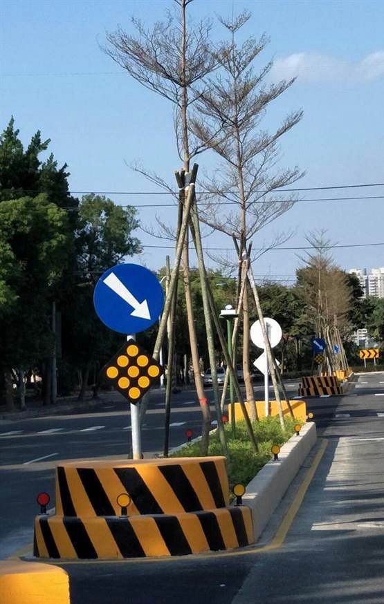 屏東分隔島安全島