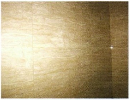 TF850高彈性黏著膠泥