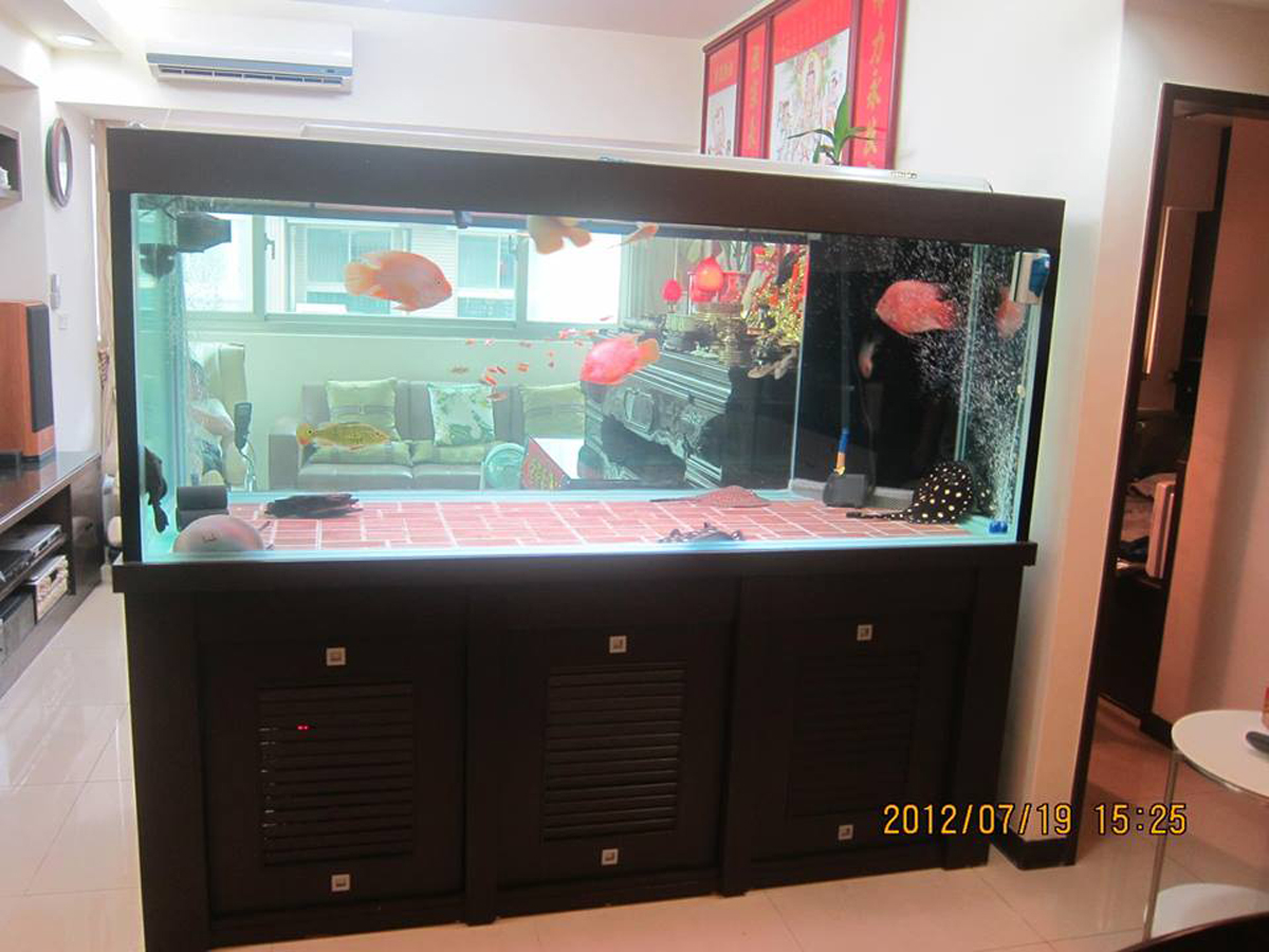 L夾木作魚缸2jpg