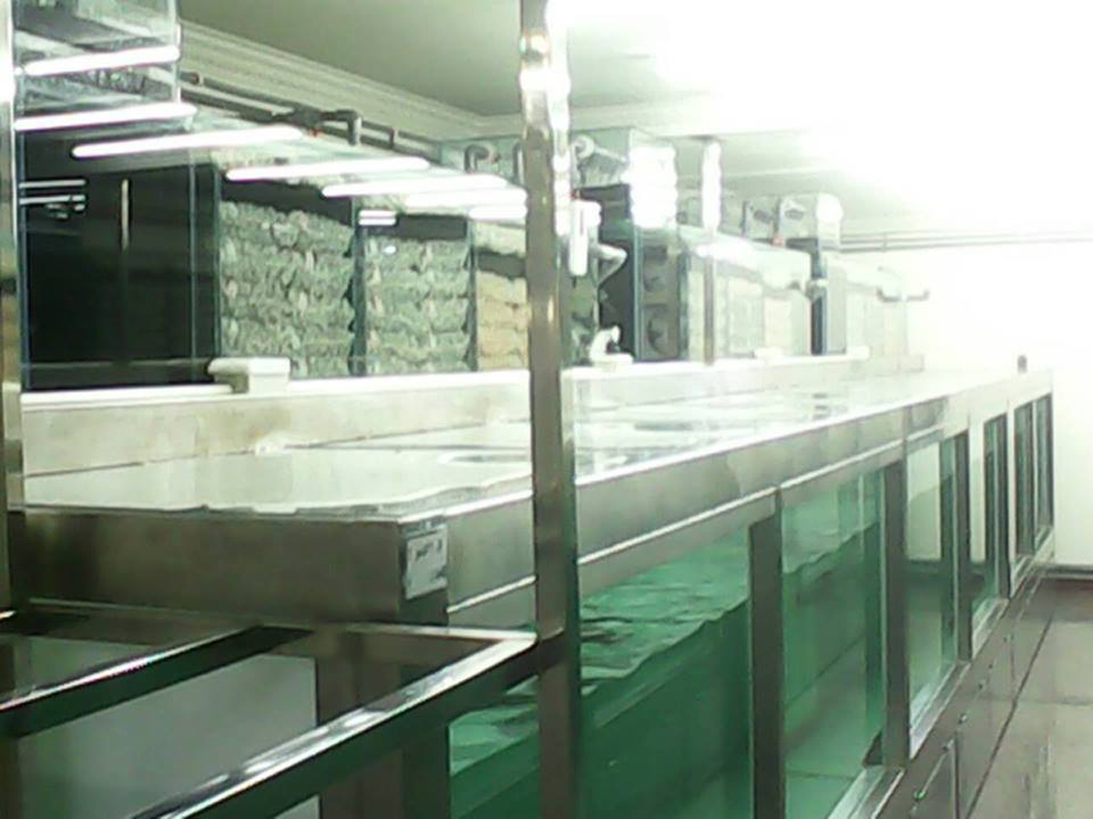 大型魚缸訂作－上部缸