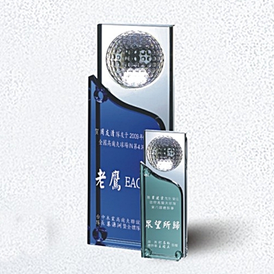 YC-G516勝券在握L/S