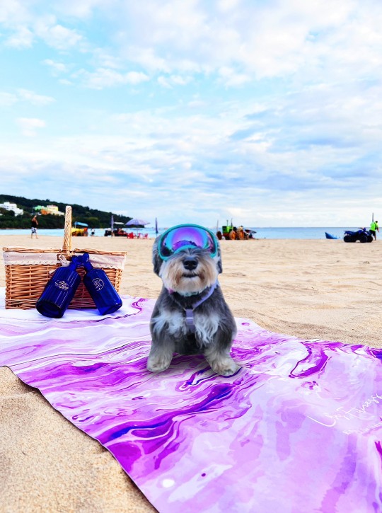 超細纖維海灘舖巾