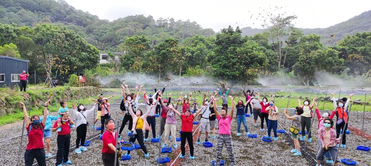 空姐雨來菇沁園生態農場-適合一家大小的農事體驗