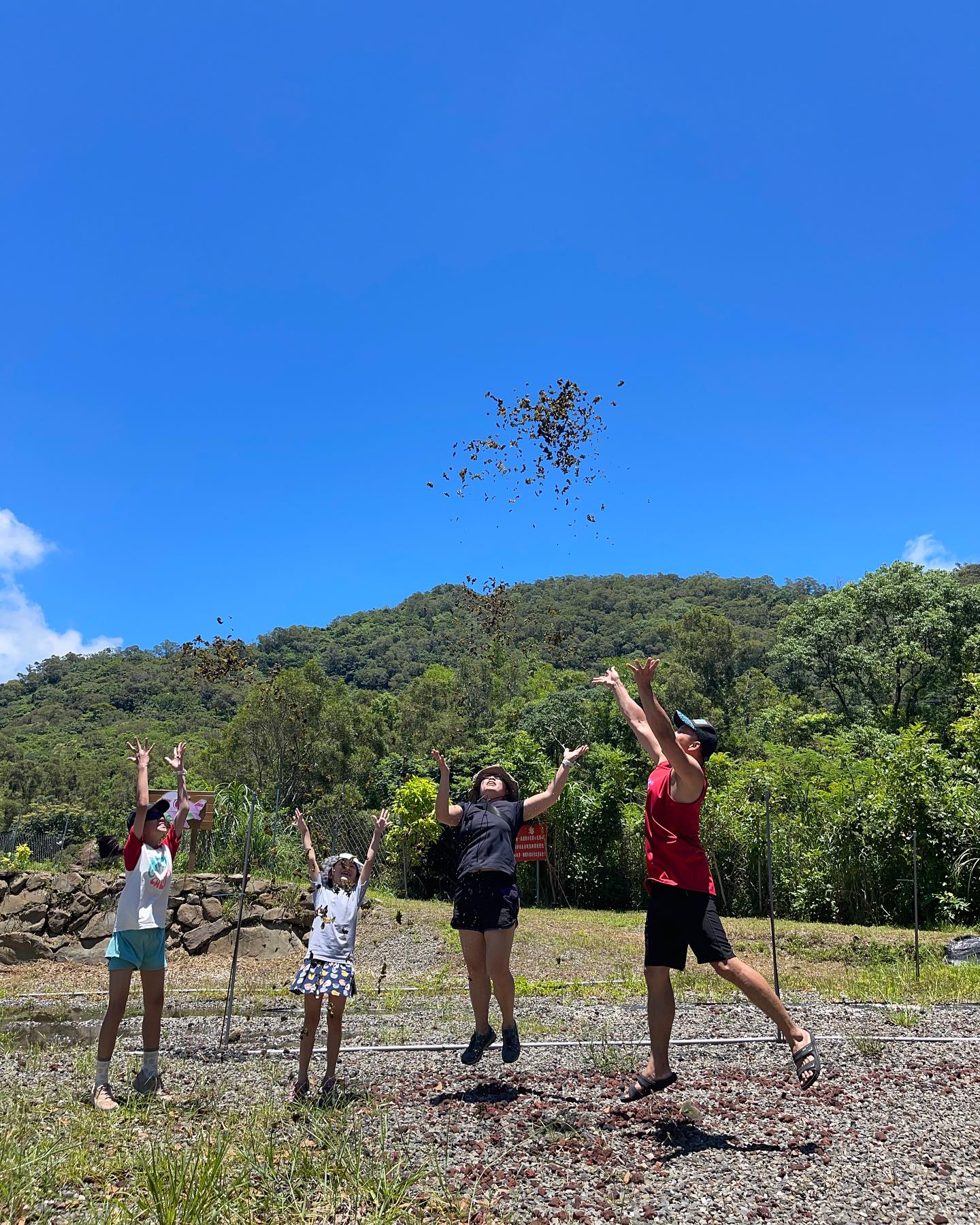 飛翔的雨來菇-農事體驗預約2