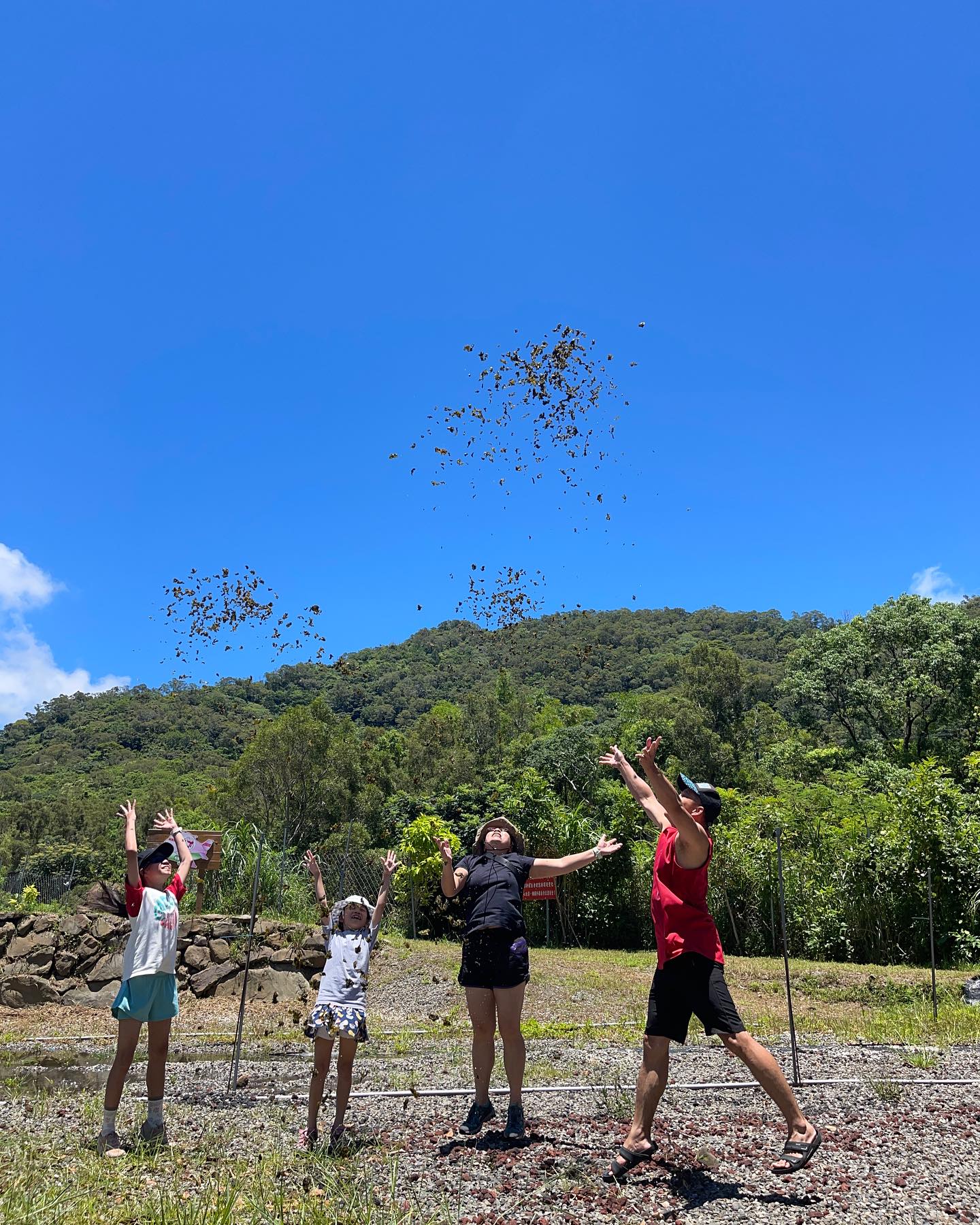 飛翔的雨來菇-農事體驗預約1