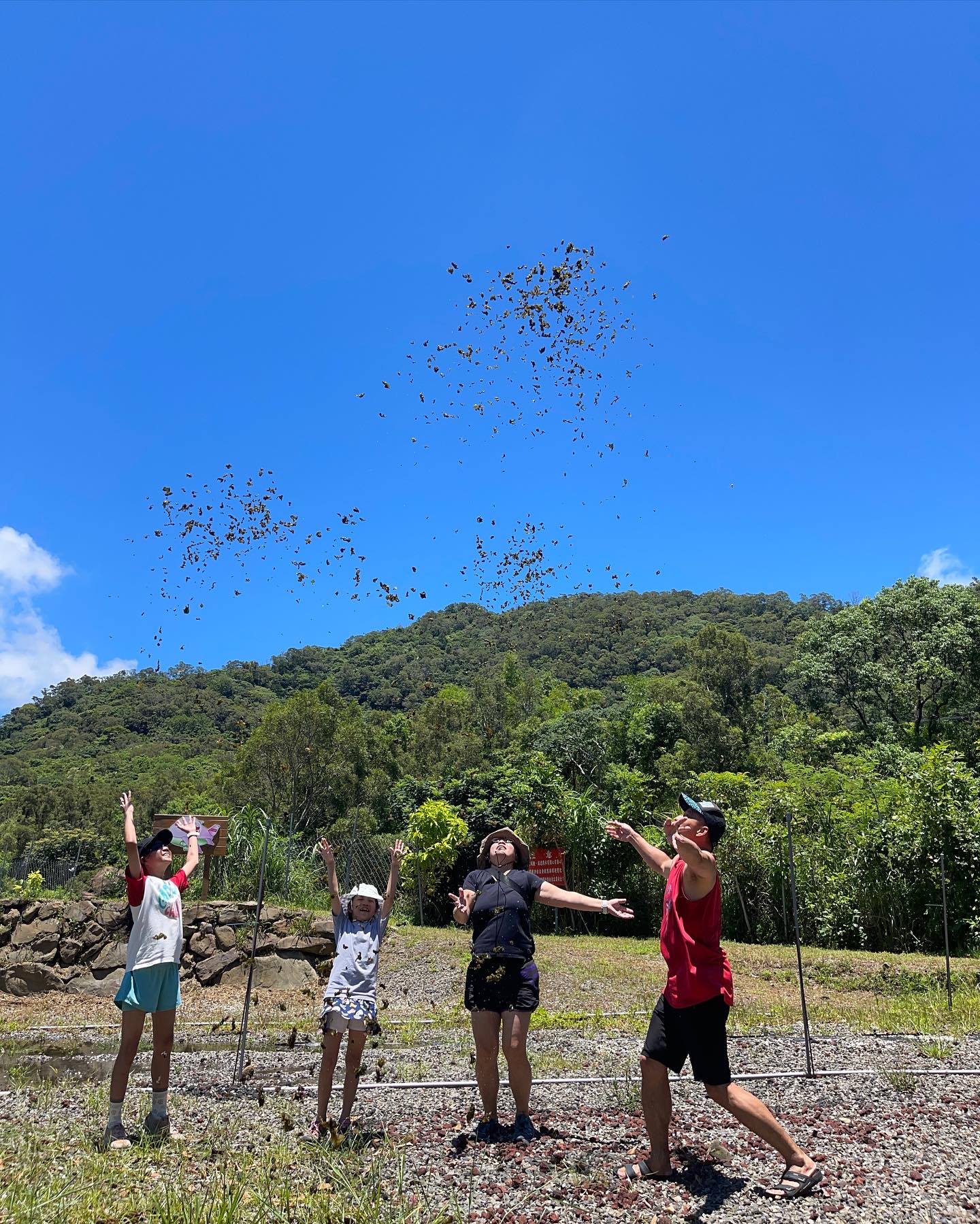 飛翔的雨來菇-農事體驗預約