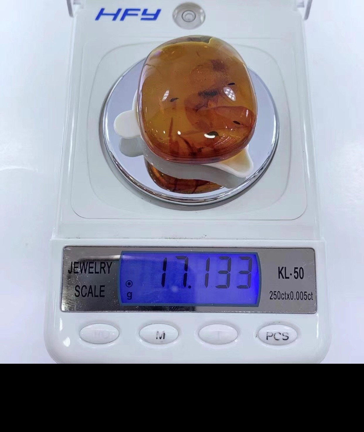 藍蟲珀-光面甲蟲飛蛾戰#2288-2