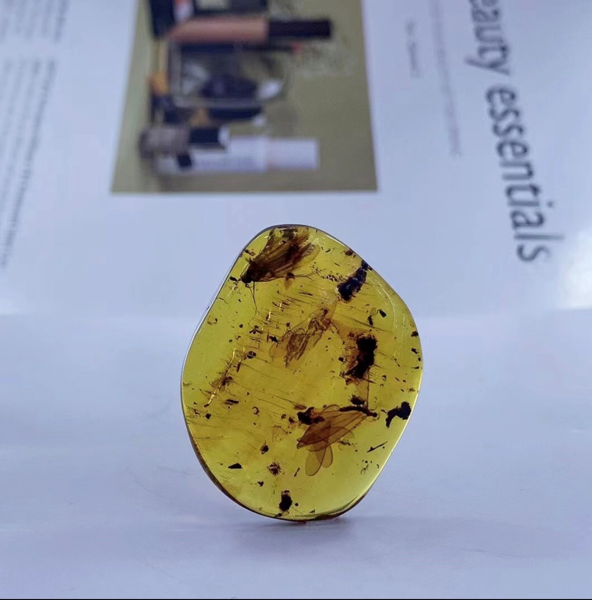 藍蟲珀-飛蛾甲蟲鱗蛉石娥#3288