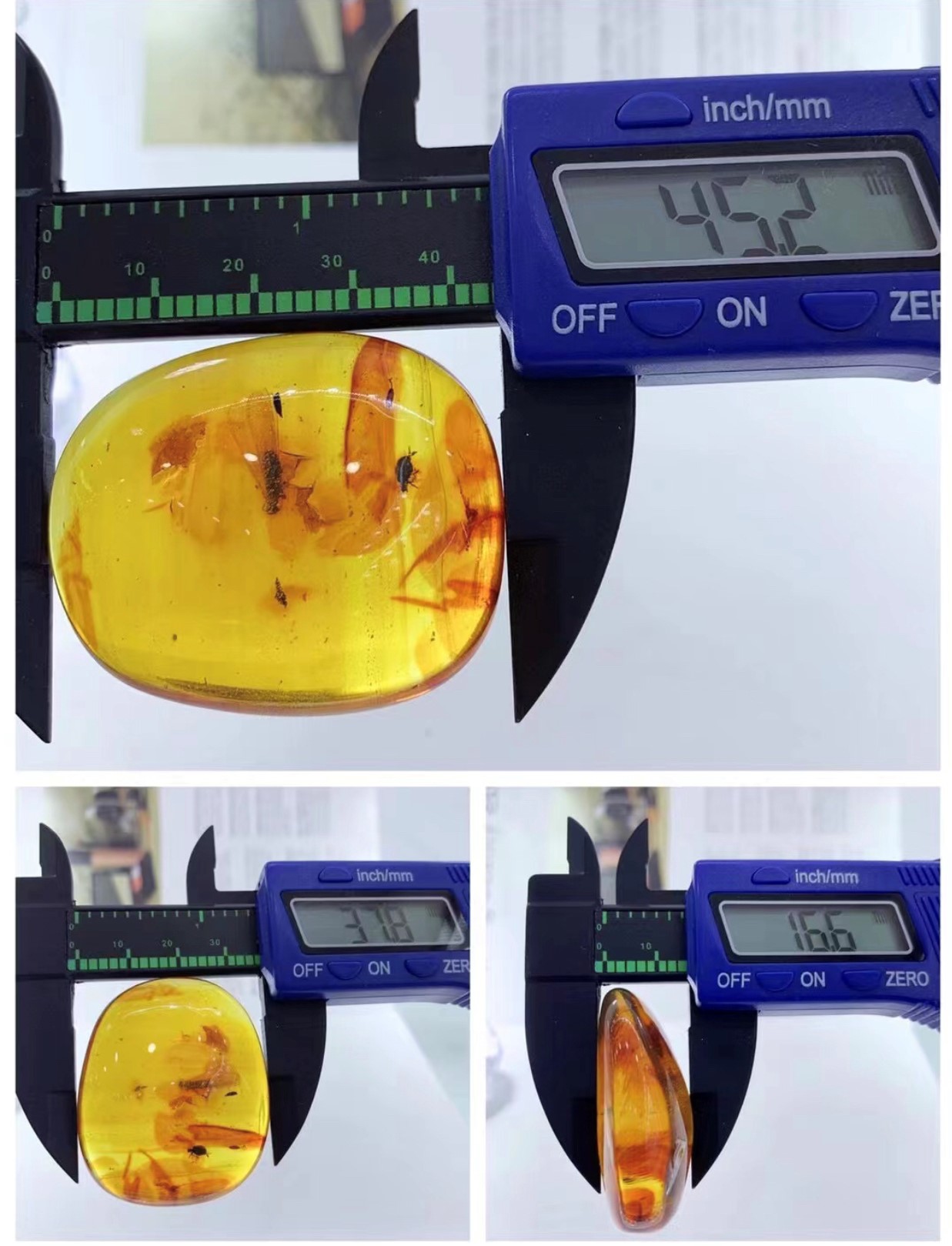 藍蟲珀-光面甲蟲飛蛾戰#2288-1