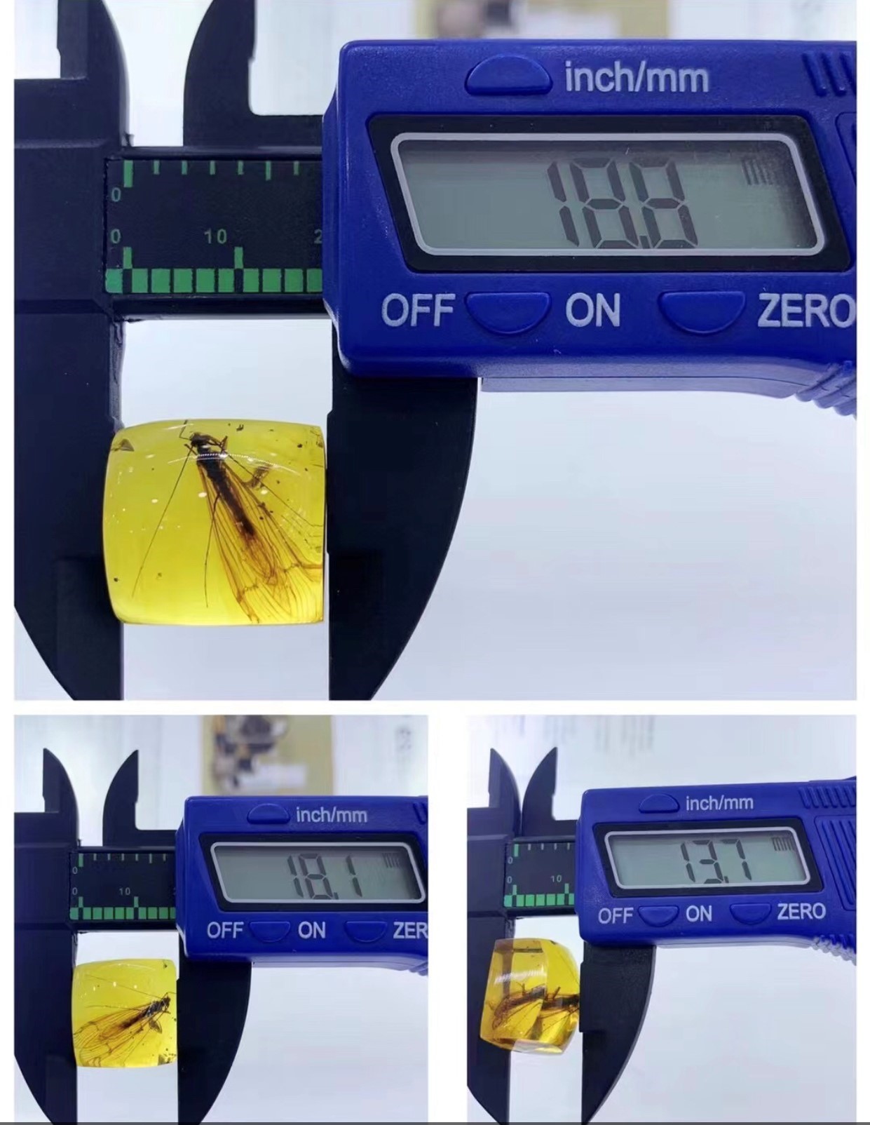 藍蟲珀-戒面長20mm-1