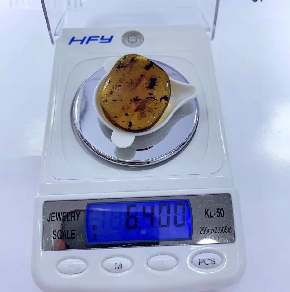 藍蟲珀-飛蛾甲蟲鱗蛉石娥#3288-2