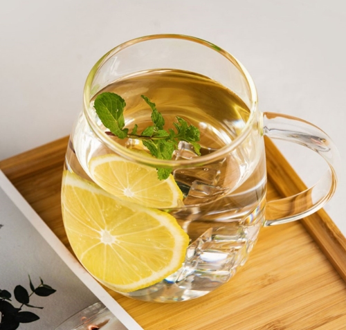 家用玻璃握把泡茶杯