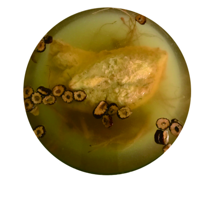 淵仁素食-人蔘雞(蛋素)