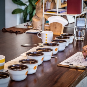 淡金咖啡工作室-undefined