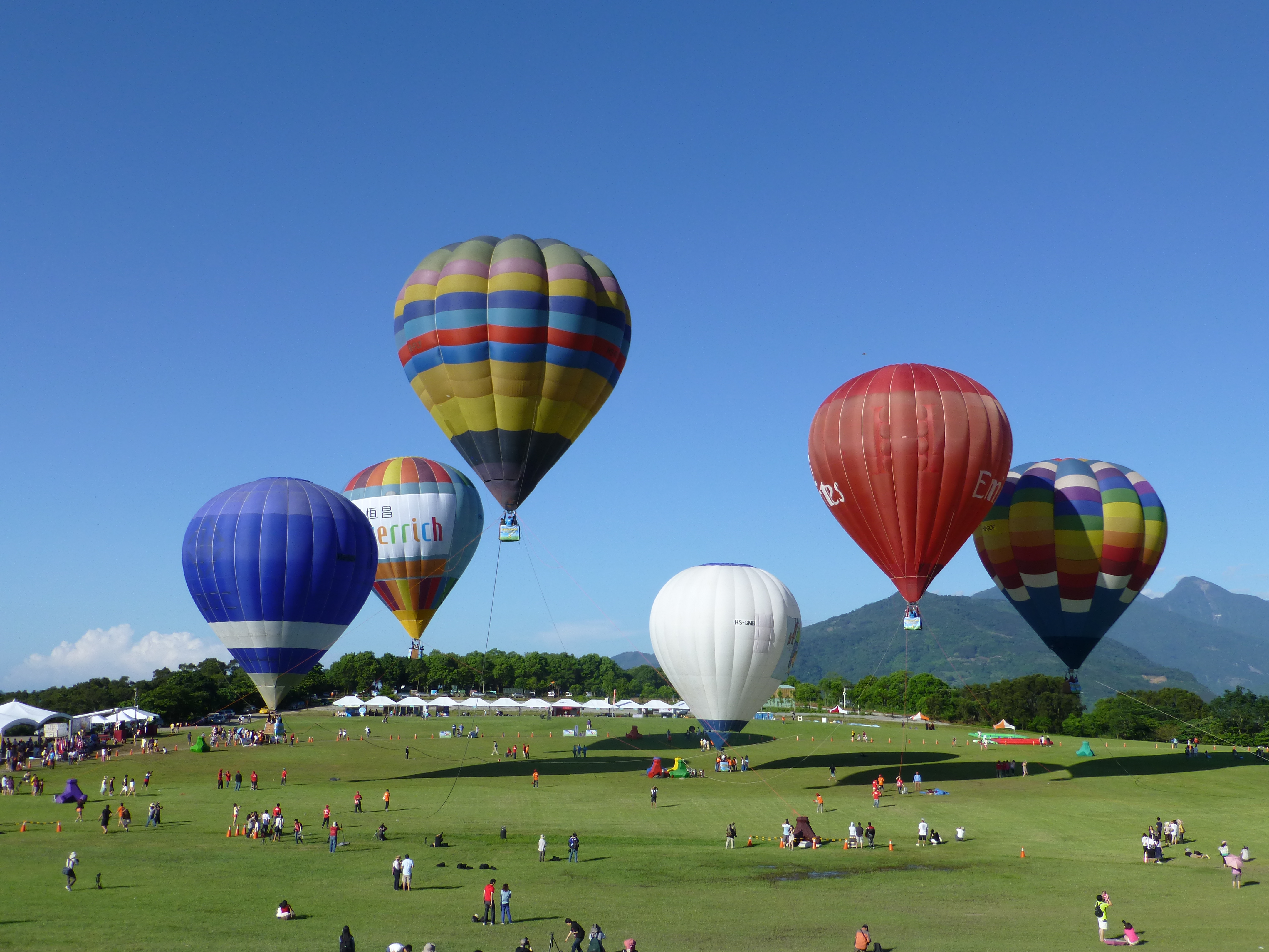 台東鹿野熱氣球節包車旅遊