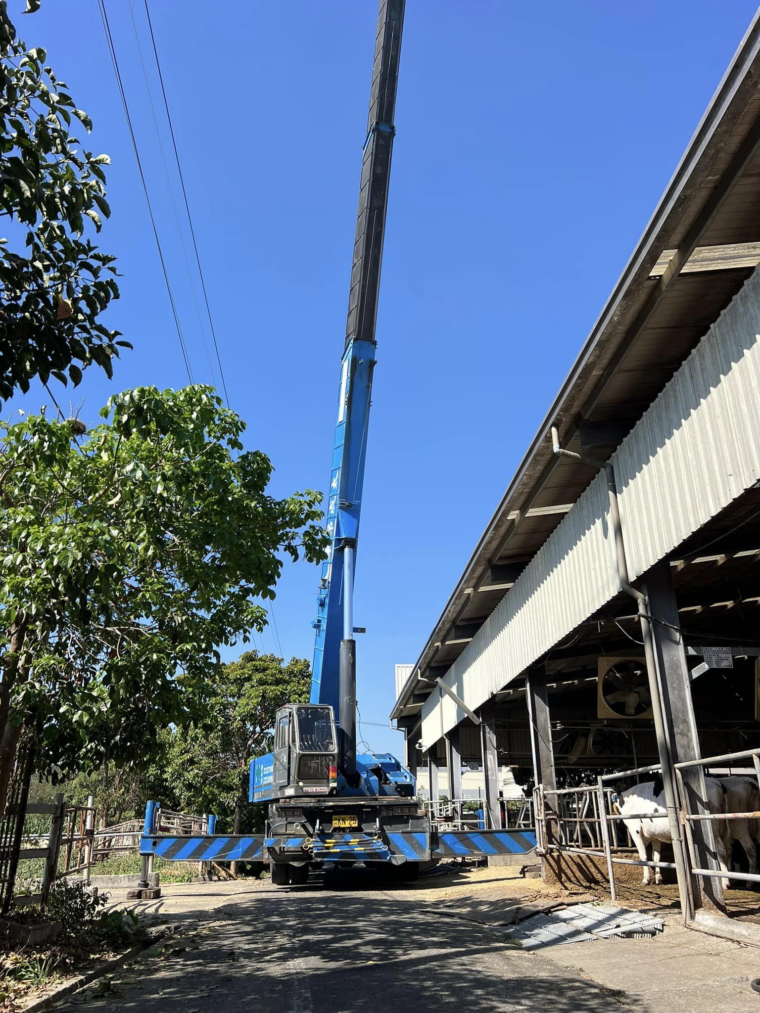 楊柳牧場吊浪板