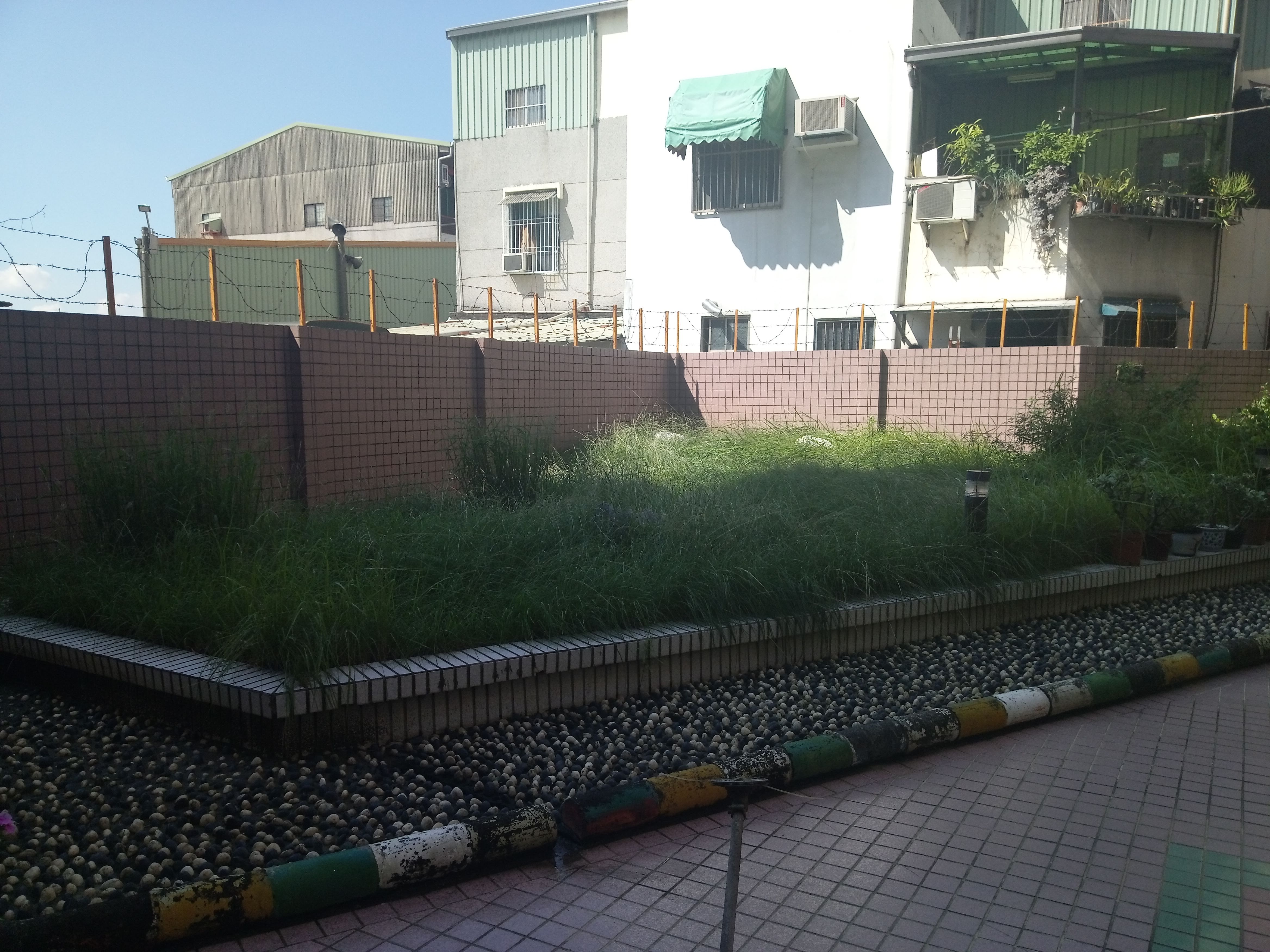 酈地大樓中庭園藝修剪前