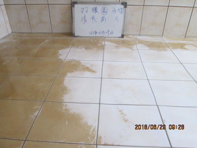 雙橡園水塔清洗前