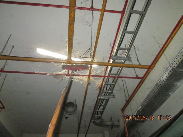地下室停車場天花板蜘蛛網清除作業2
