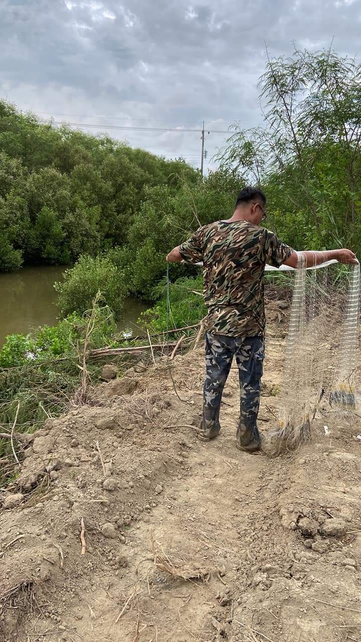土地回填前置作業