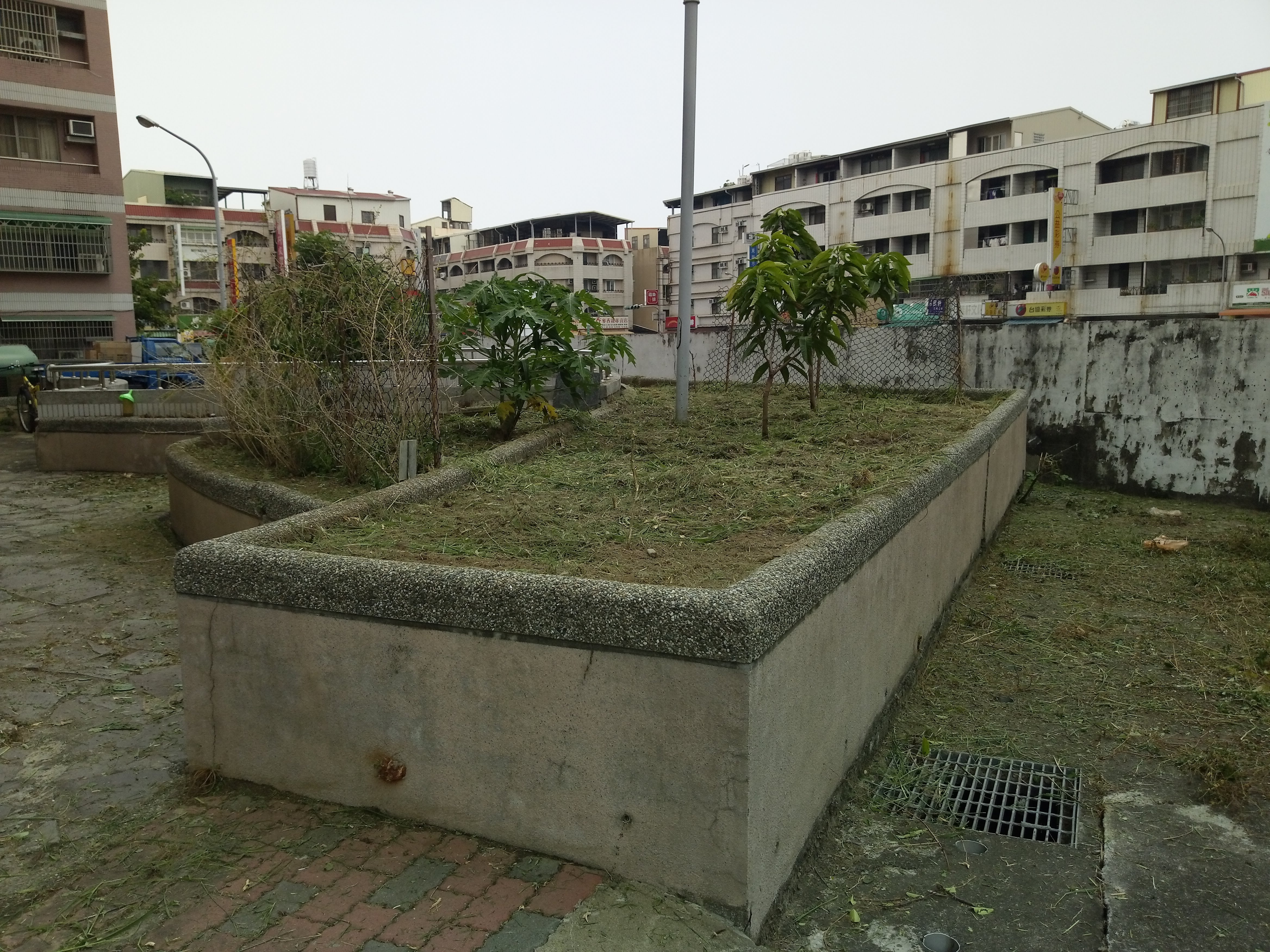 大鵬新城中庭園藝修剪後3