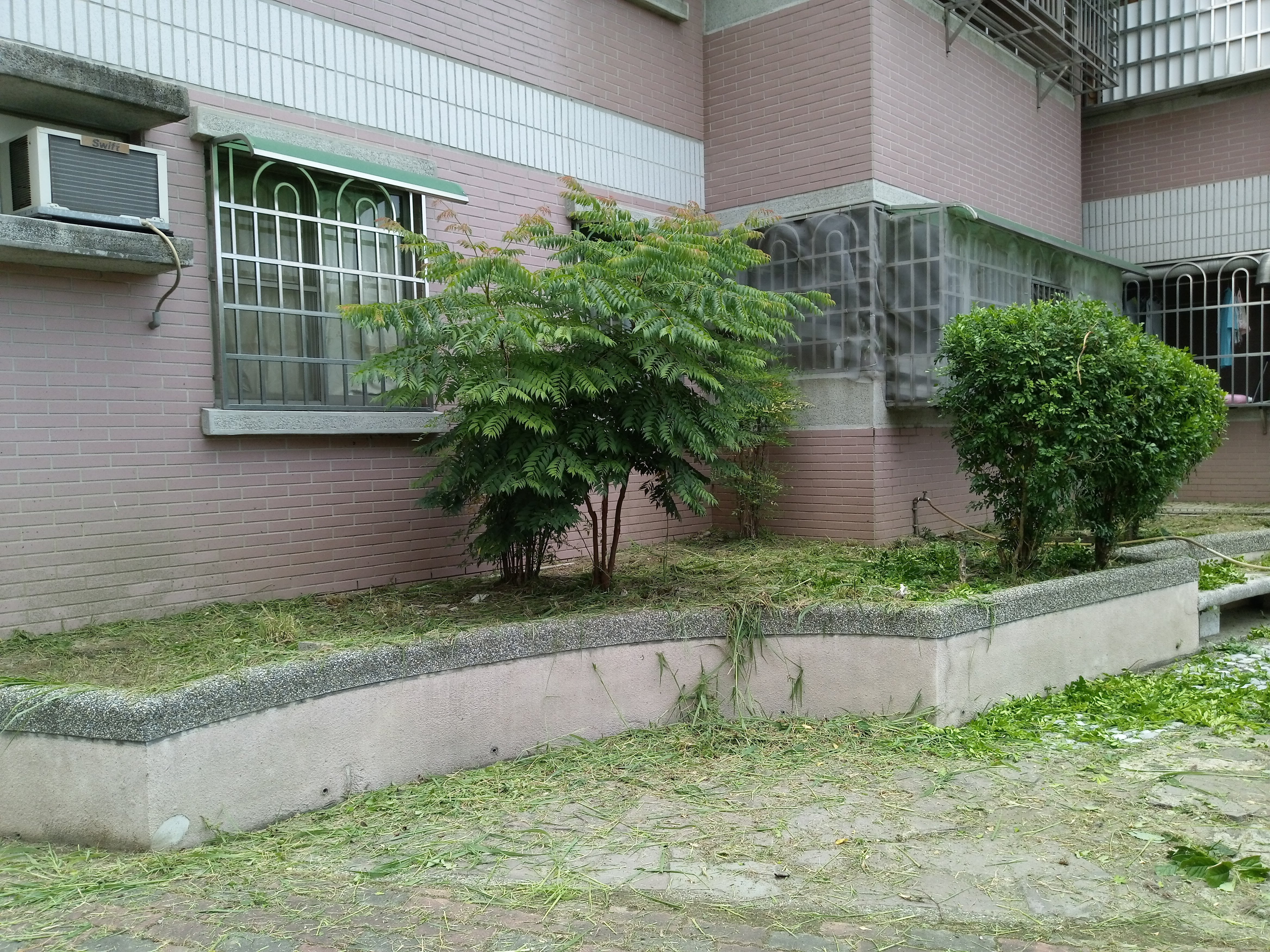 大鵬新城中庭園藝修剪後4