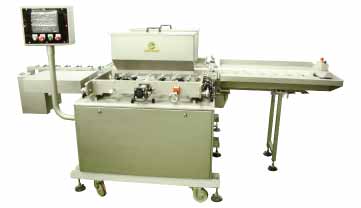 六孔雙排麵包注餡機