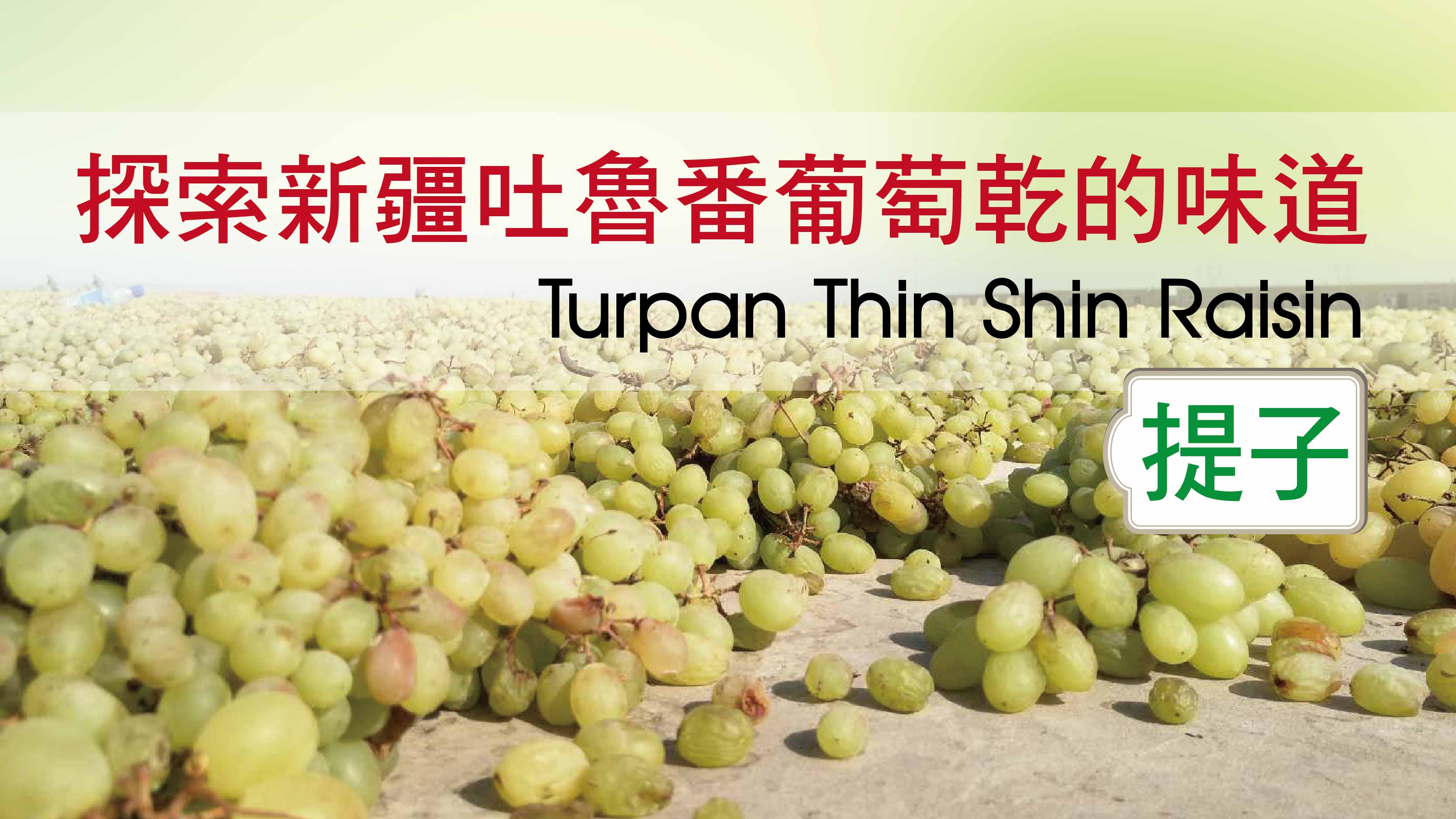 探索新疆吐魯番葡萄乾、提子