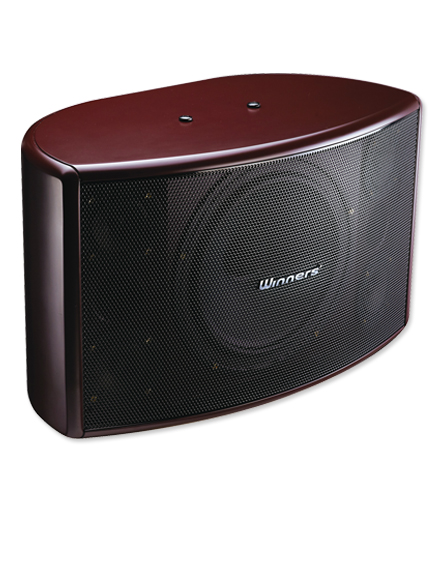 專業懸掛式揚聲器