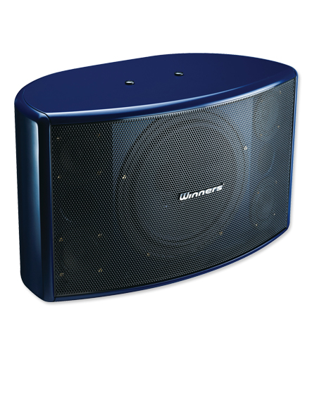 8專業懸掛式揚聲器