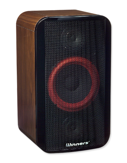 專業懸掛式揚聲器SYSTEMS-1510K