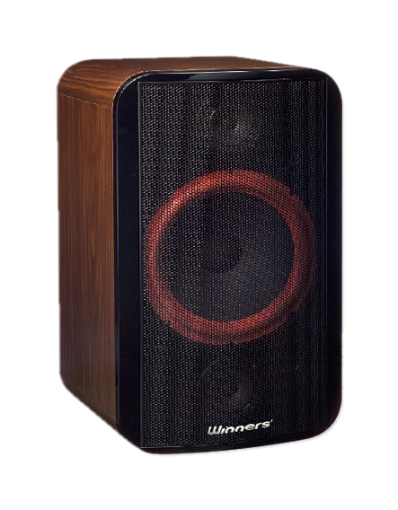 專業懸掛式揚聲器SYSTEMS-1508K