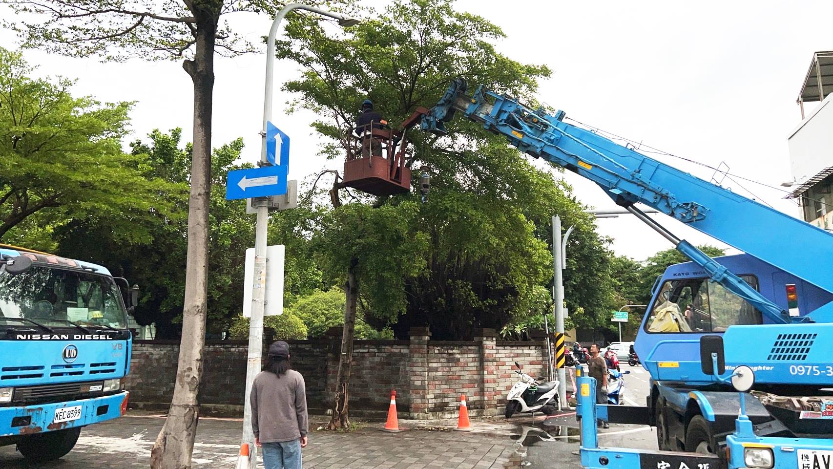 修剪樹木工程交通管制