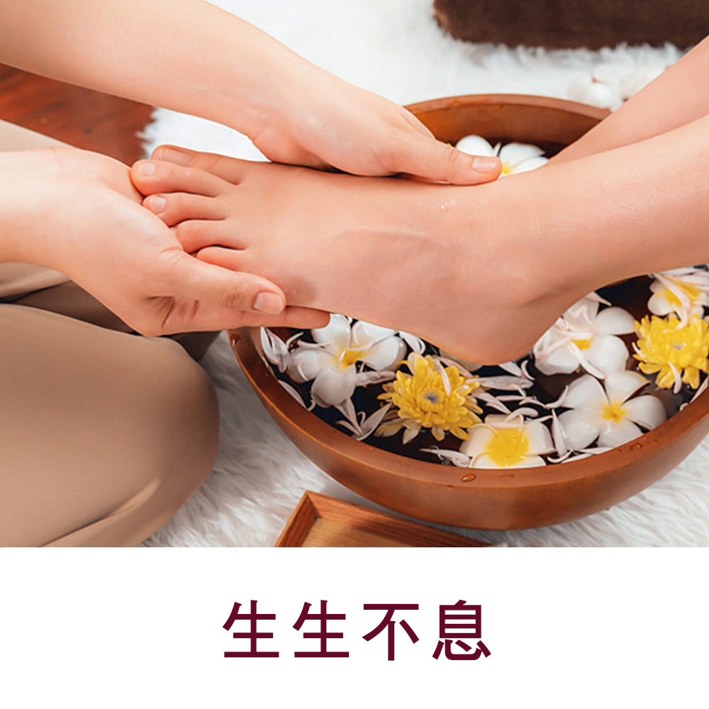 SERVICE▐ 生生不息