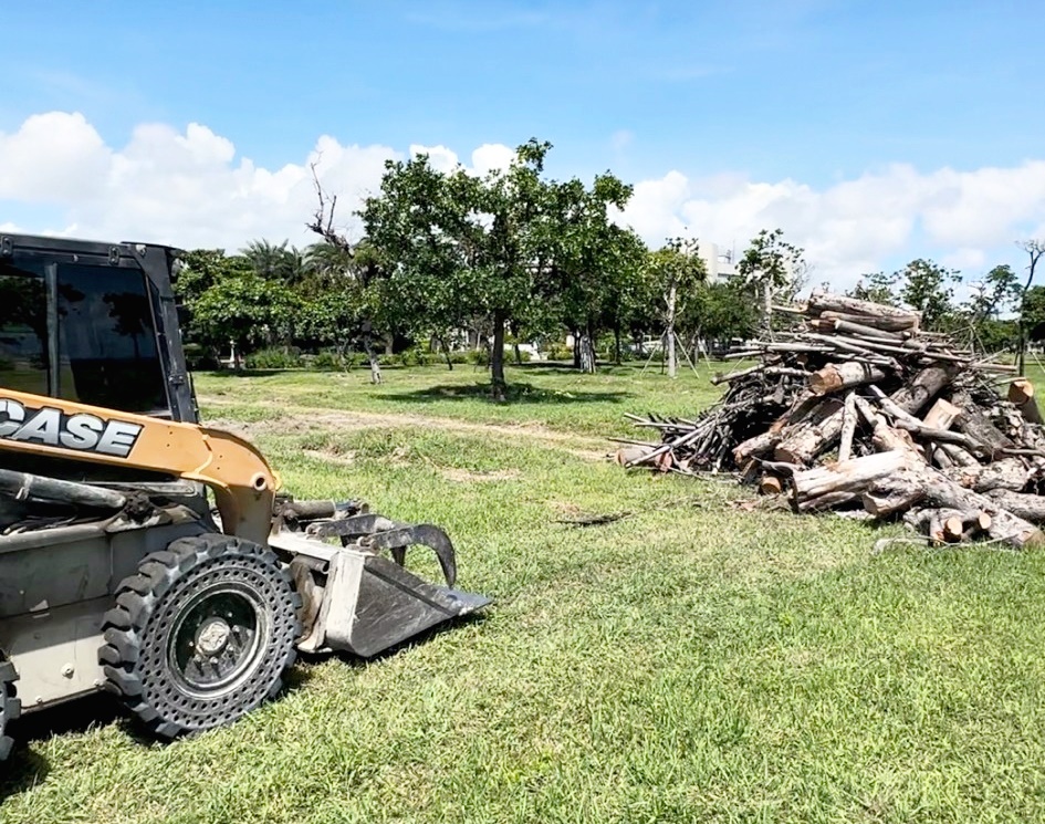 木材、樹枝清運