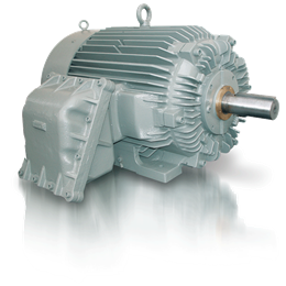 防爆馬達：耐壓防爆馬達系列