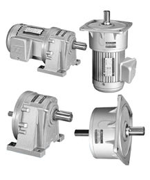 大型齒輪馬達系列