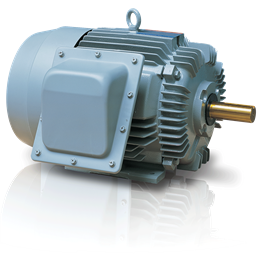 低壓泛用型：高效率馬達
