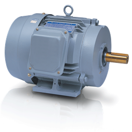 低壓泛用型：高效率馬達