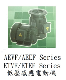 低壓感應電動機
