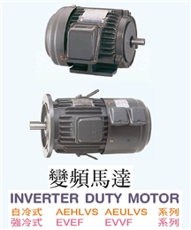 東元變頻馬達(自冷式/強冷式)