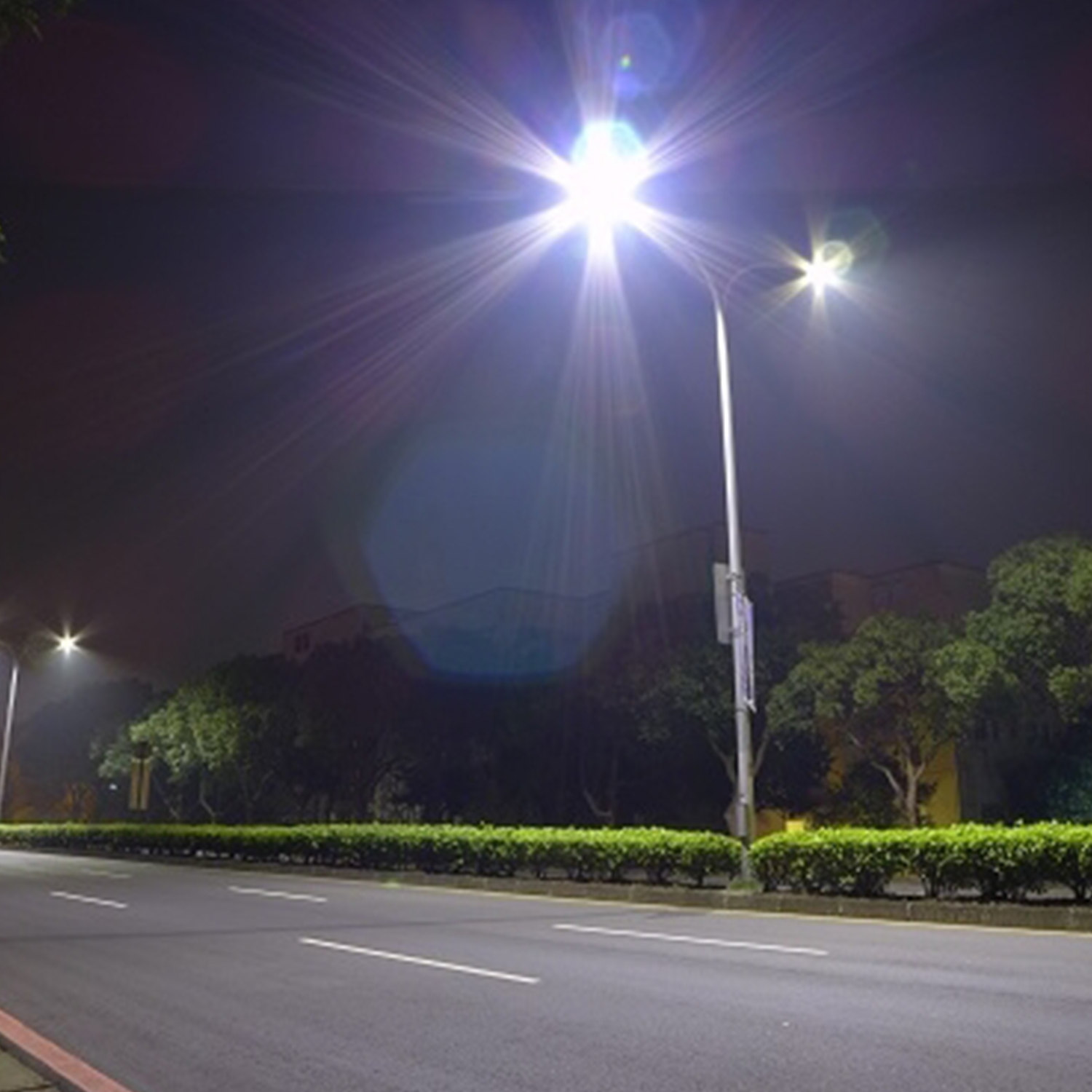 新竹科學園區新安路